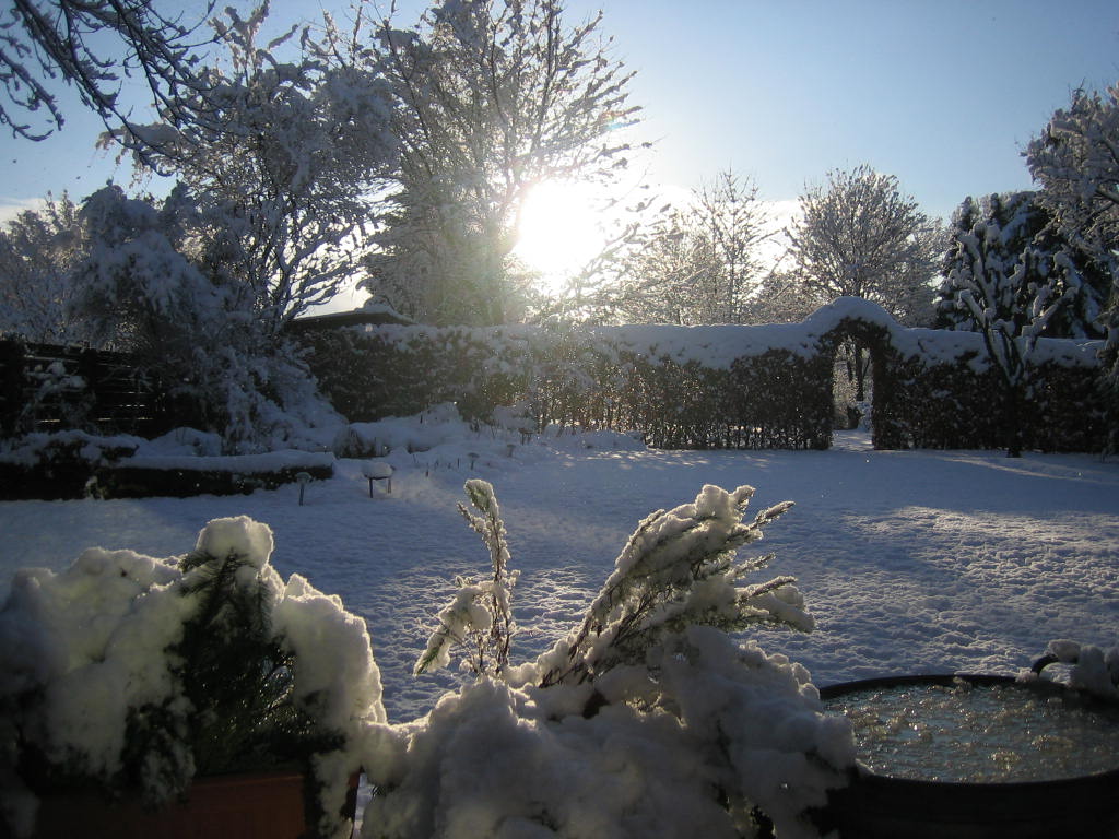 Garten im Winter/
Backyard in winter